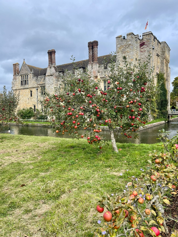 Anne Boleyn's Orchard