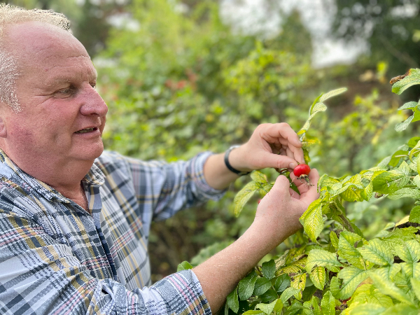 Hever Castle head gardener Neil Miller with a rose hip