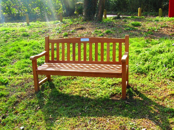 Harold's bench - Chaldon