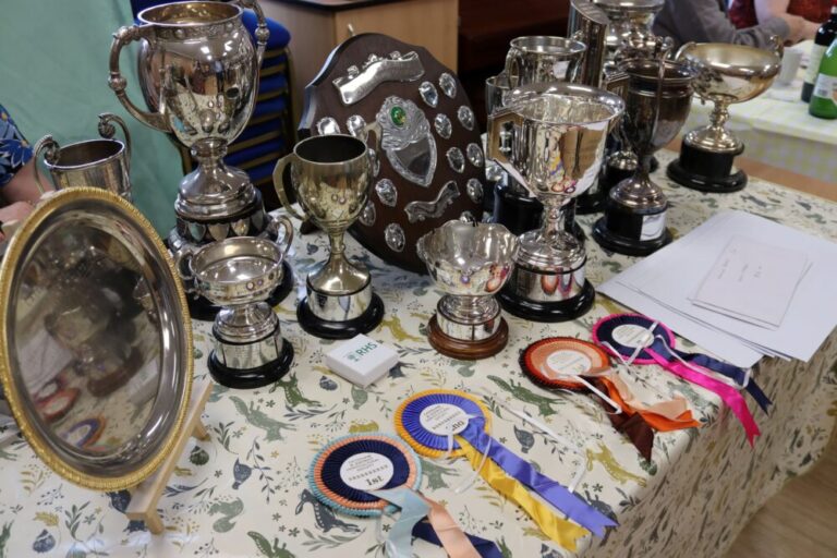 Trophies to be won at Caterham & District Horticultural Show