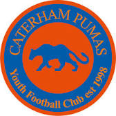 The logo of the Caterham Pumas football club