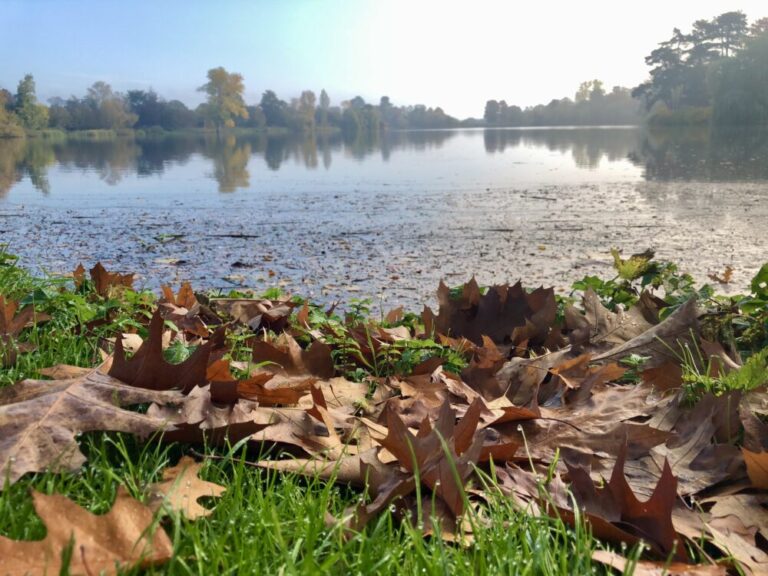 Autumn leaves, with a lake backdrop, at Hever Castle. Credit Vikki Rimmer