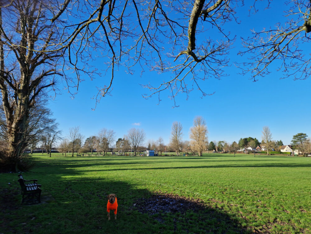 Queen's Park in Caterham covers 25 acres